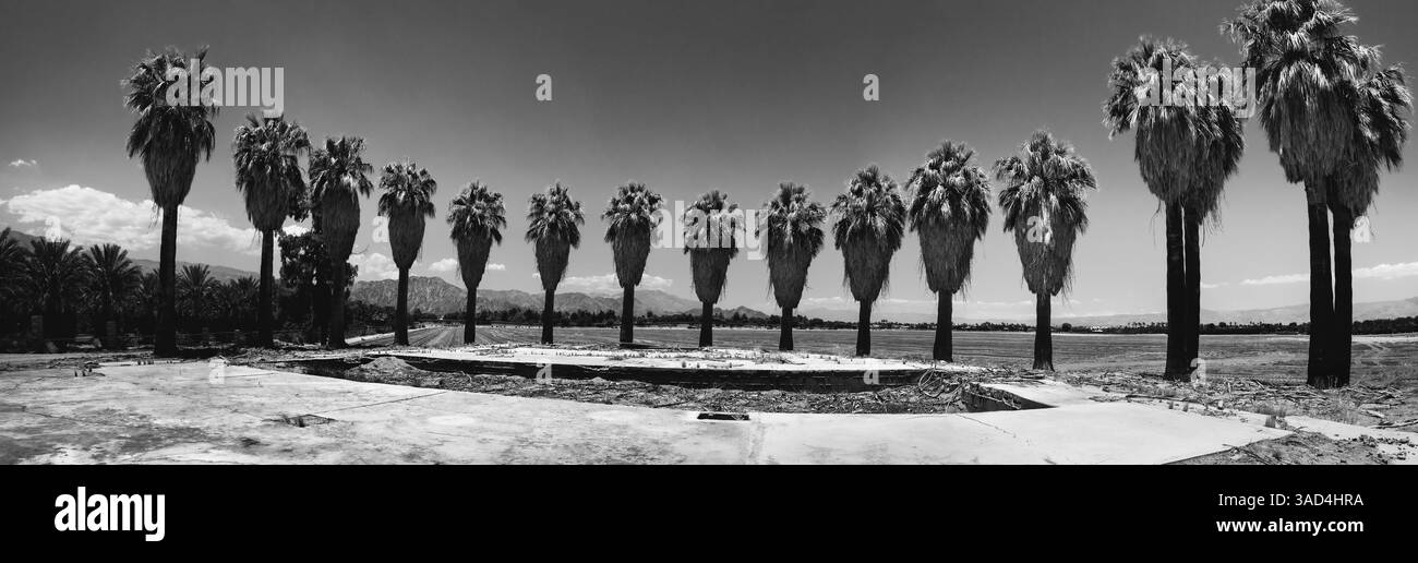 Altes Anwesen, Dattelpalmen, Coachella Valley, Kalifornien, USA. Stockfoto