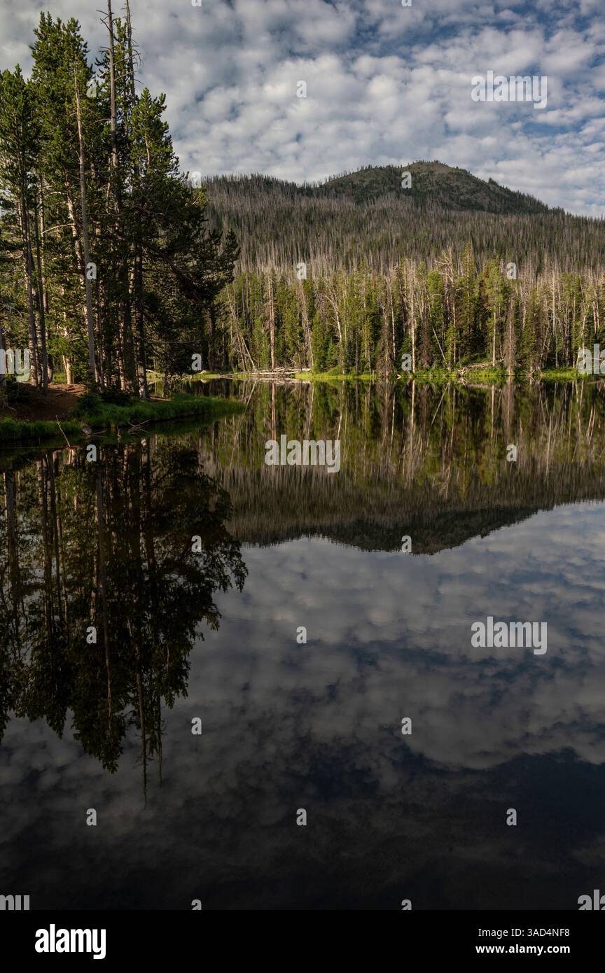 USA, Wyoming. Wolken spiegeln sich im Sylvan Lake im Yellowstone-Nationalpark. Stockfoto