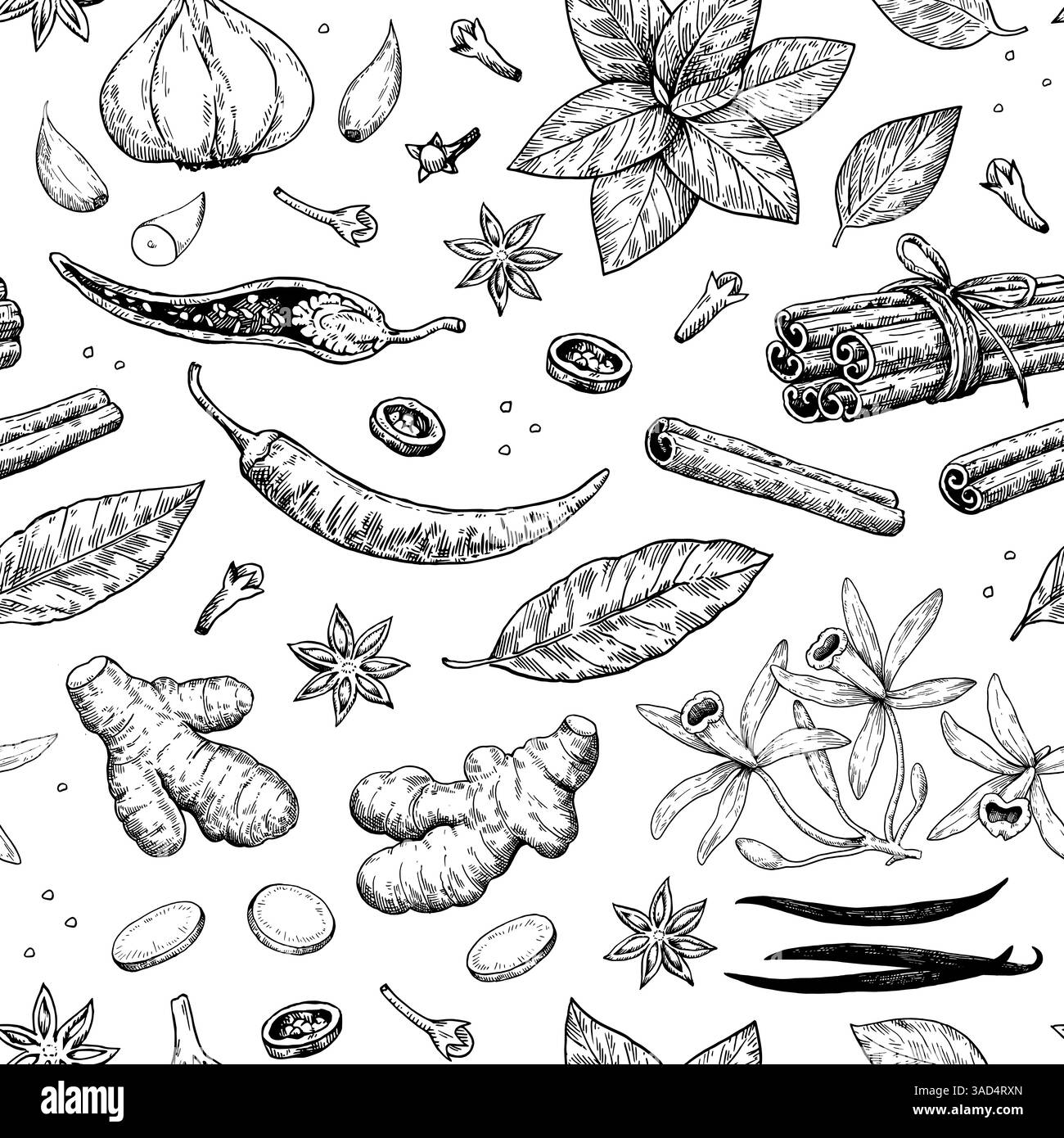 Nahtloses Muster mit Gewürzen und aromatischen Pflanzen. Handgezeichnete detaillierte Vektorabbildung in Skizzenfarbe Stock Vektor