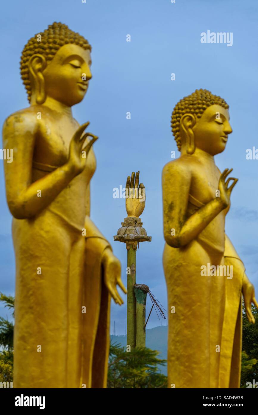 Goldene Buddha-Statuen im Nelligala International Buddhist Centre in Sri Lanka, die Frieden und Erleuchtung symbolisieren, mit einer heiligen Handgeste im Stockfoto