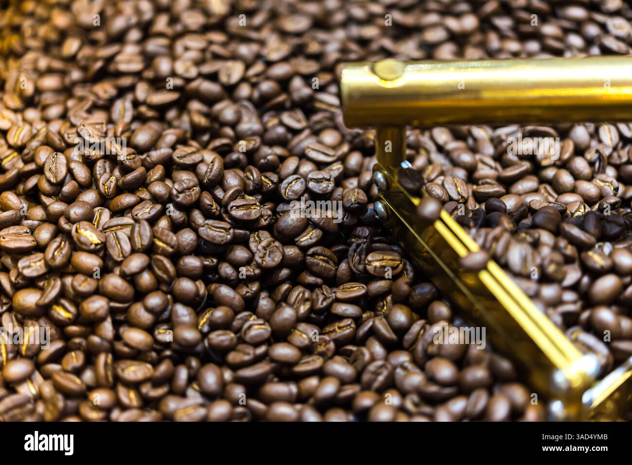 Kaffeebohnen und geröstete Kaffeebohnen Rösten in der Kaffeebohnenmaschine im Café oder Restaurant Stockfoto
