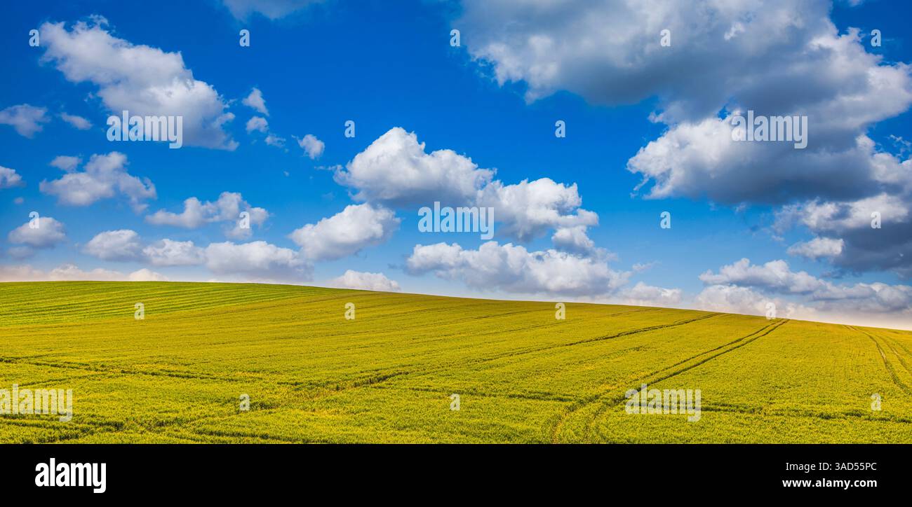 Atemberaubende landwirtschaftlich reizvolle Landschaft mit sonnigem, bewölktem Himmel über Feldern und fernem Horizont mit idyllischem, herbstlichem Hintergrund Stockfoto