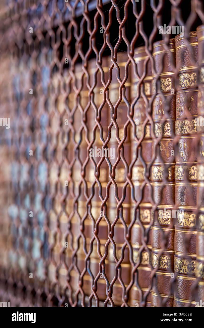 Mit Leder gebundene Volumen hinter kunstvoll verziertem Schmiedeeisen – eine detaillierte Untersuchung der Textur und Konservierung Stockfoto