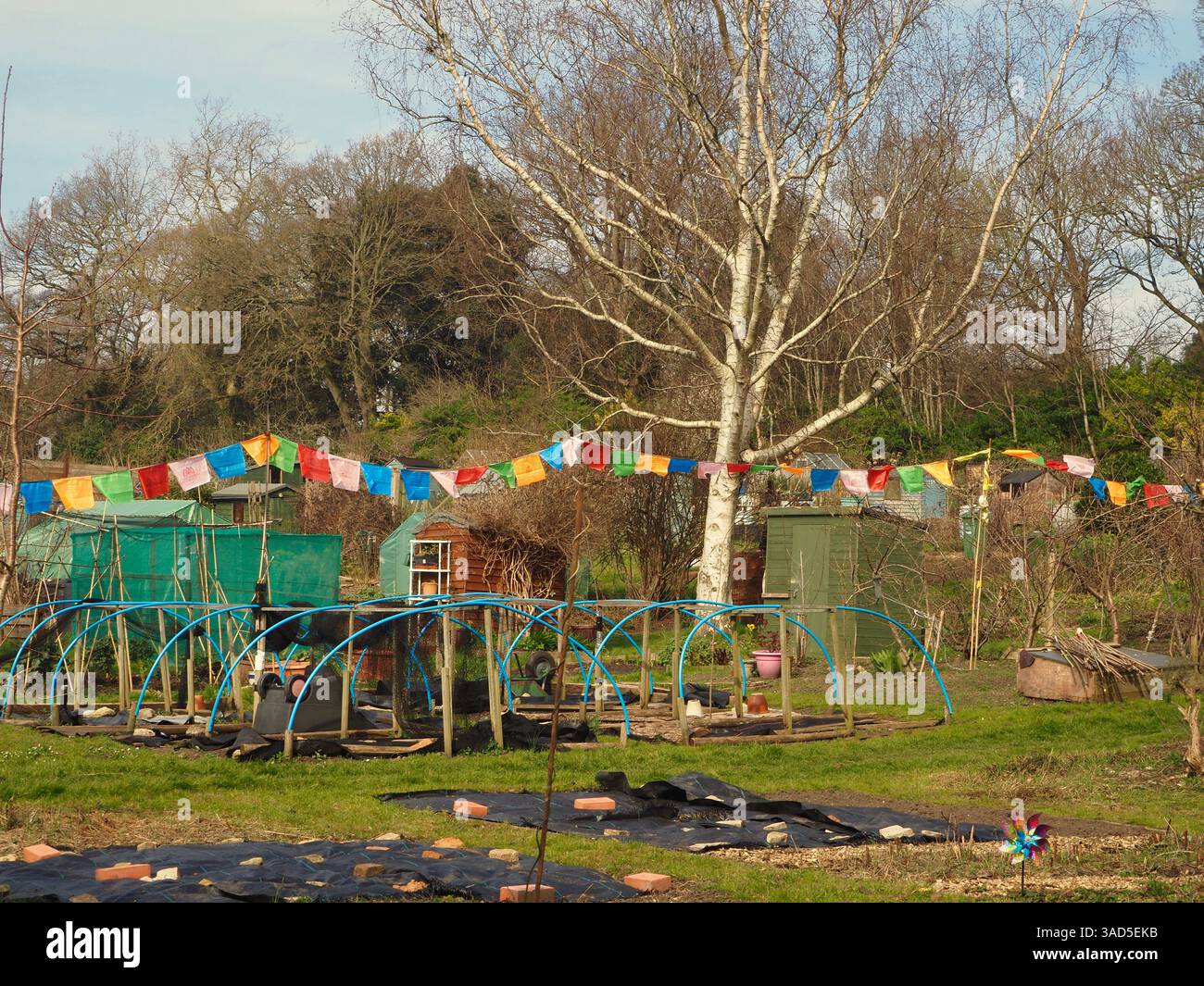 Buntes buntes Fäuschen über Gemüsegartments von Victoria Park, Bath, zeigt Reifen, die bereit sind, Polytunnel zu bilden, Unkrautunterdrückungsgewebe und Schuppen. Stockfoto