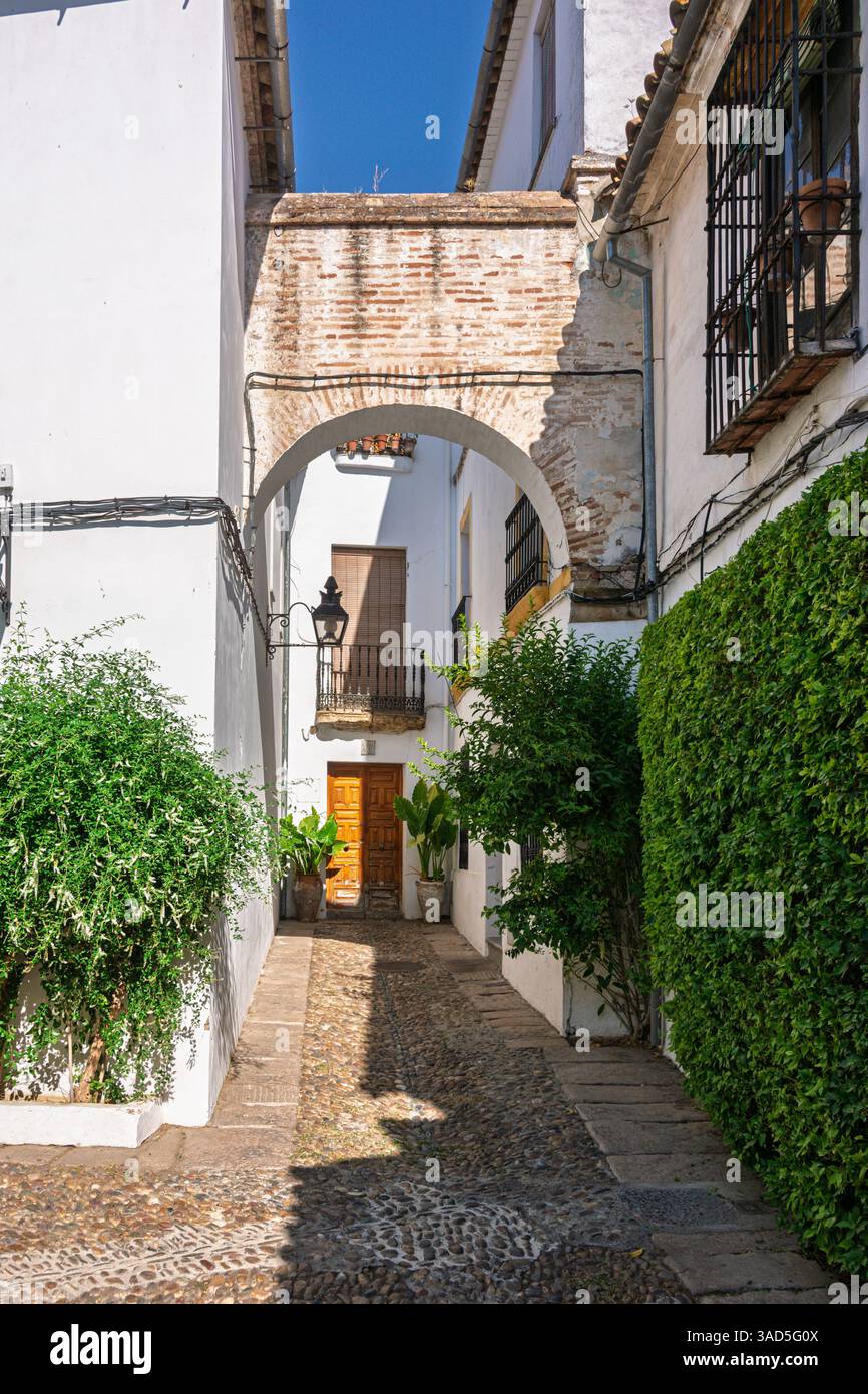 Malerische enge Straße mit Bogen und Pflanzen in cordoba, spanien Stockfoto