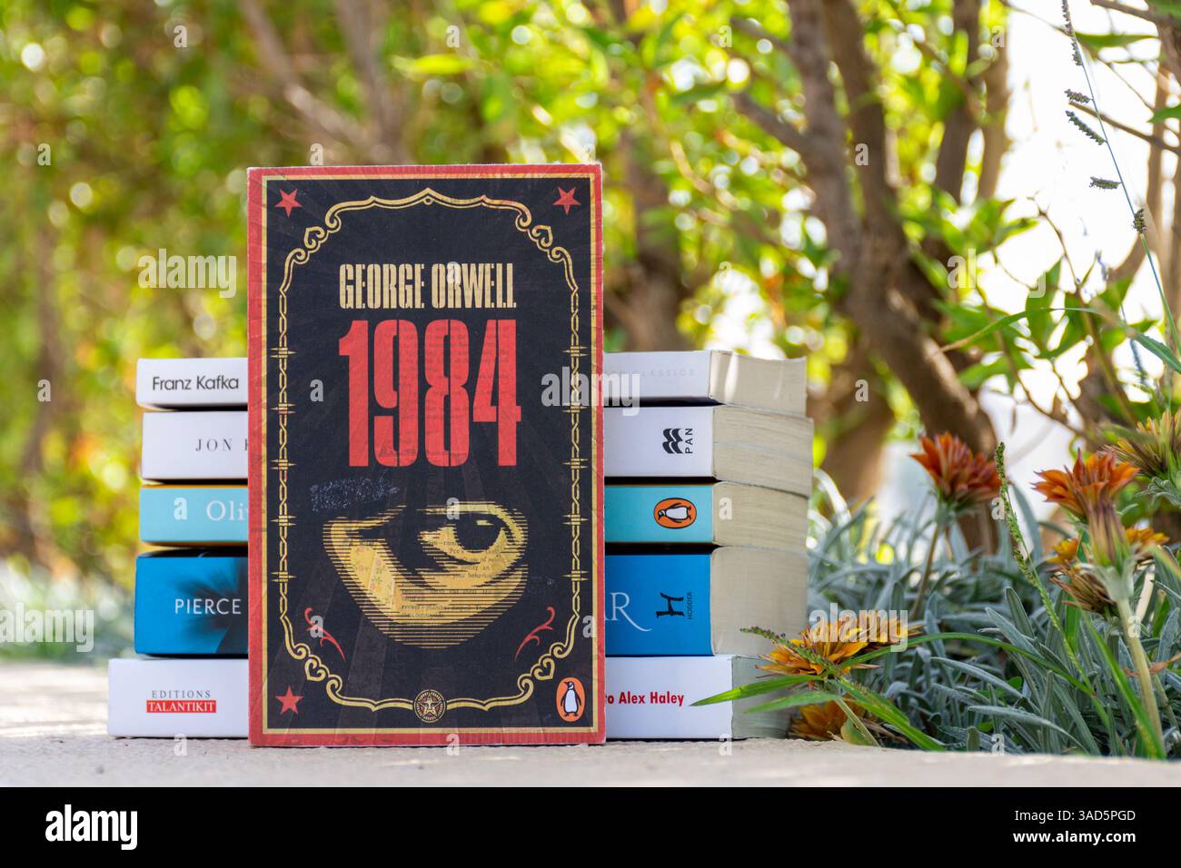 Close-up von George Orwells Roman im Garten aus dem Jahr 1984. Stockfoto