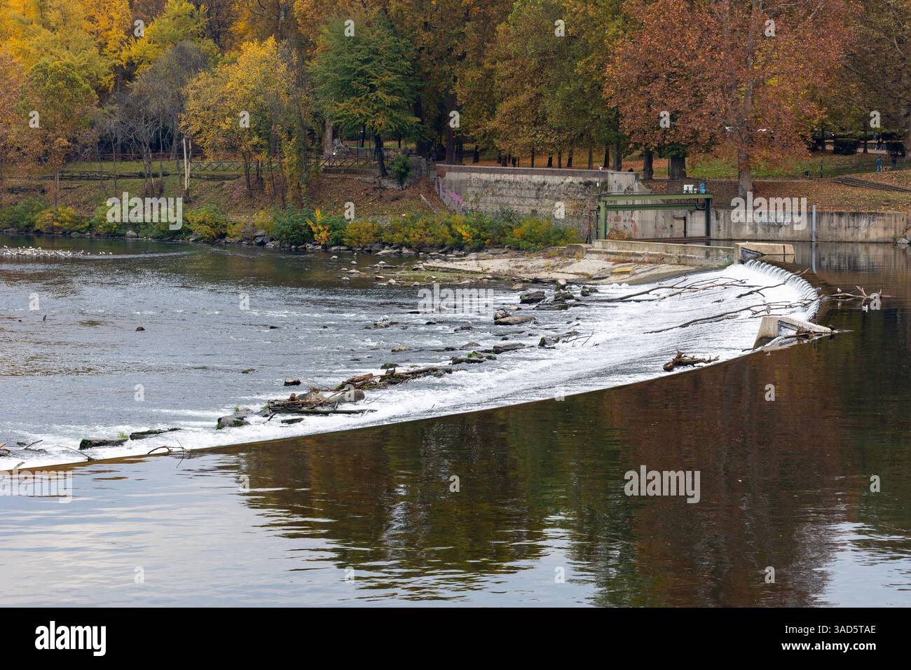 Der Fluss Po in Turin, Italien, mit einem kleinen Wehr, das sanfte Kaskaden bildet. Farbenprächtiges Herbstlaub säumt die Flussufer unter einem bewölkten Himmel. Stockfoto