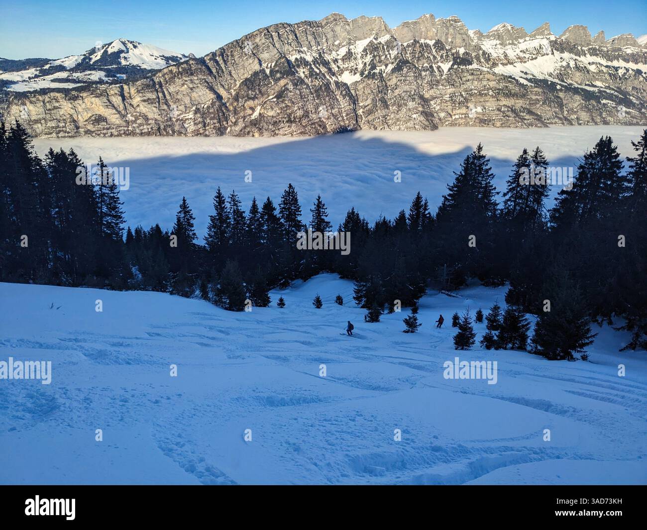 Der Skifahrer fährt in tiefem Schnee auf das Nebelmeer zu. Freeriding im tiefen Schnee Richtung Walensee und im Hintergrund die Churfirsten. Hochwertige Fotos Stockfoto