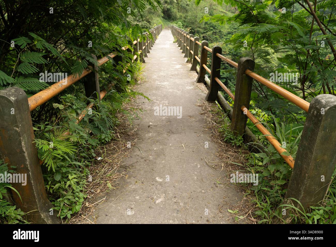 Perspektive auf alte Brücke im tiefen Wald, niemand da, geheimnisvoll und gruselig Stockfoto