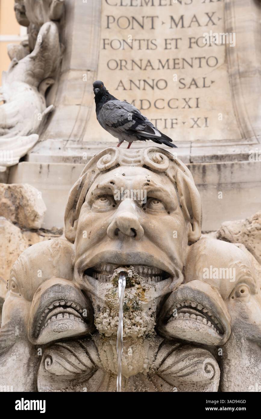Rom Taubenbrunnen Wasser lustig Stockfoto