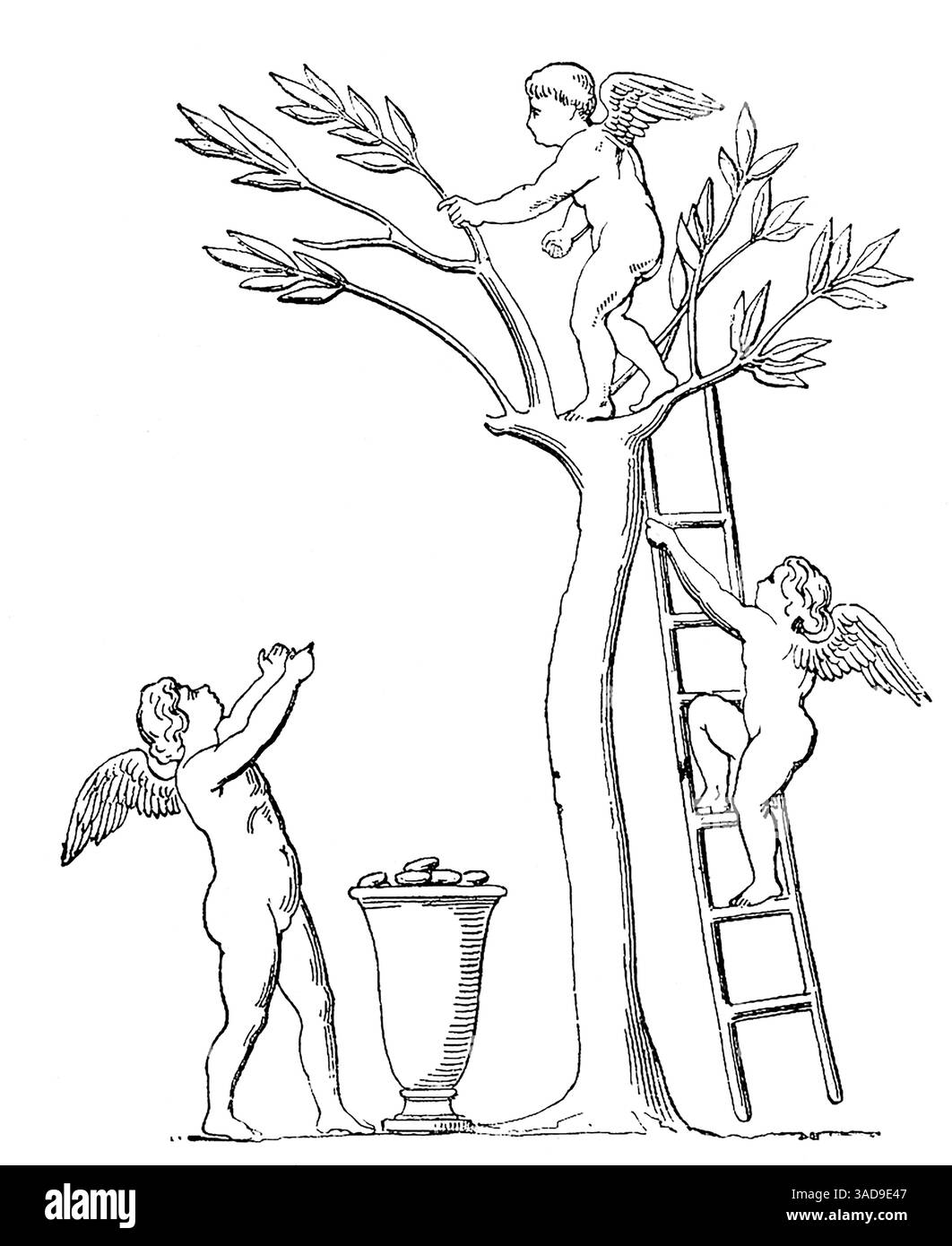 Diese fantasievolle Zeichnung von Cupidenfiguren, die Oliven sammeln/ernten, ist eine Kopie einer Szene, die von Archäologen gefunden wurde, die alte römische Stätten ausgraben. Im alten Rom war das Sammeln von Olivenöl eine wichtige wirtschaftliche Aktivität, wobei Olivenöl ein Grundnahrungsmittel, Treibstoff und Handelswaren war. Die Römer erweiterten den Olivenanbau, entwickelten effiziente Extraktionsmethoden und verwendeten Olivenöl für verschiedene Zwecke, einschließlich Kochen, Beleuchtung und sogar für religiöse Rituale. Im alten Rom war das Sammeln von Olivenöl eine wichtige wirtschaftliche Aktivität, wobei Olivenöl ein Grundnahrungsmittel, Treibstoff und Handelswaren war. Römer expandierten Oliven-Cu Stockfoto