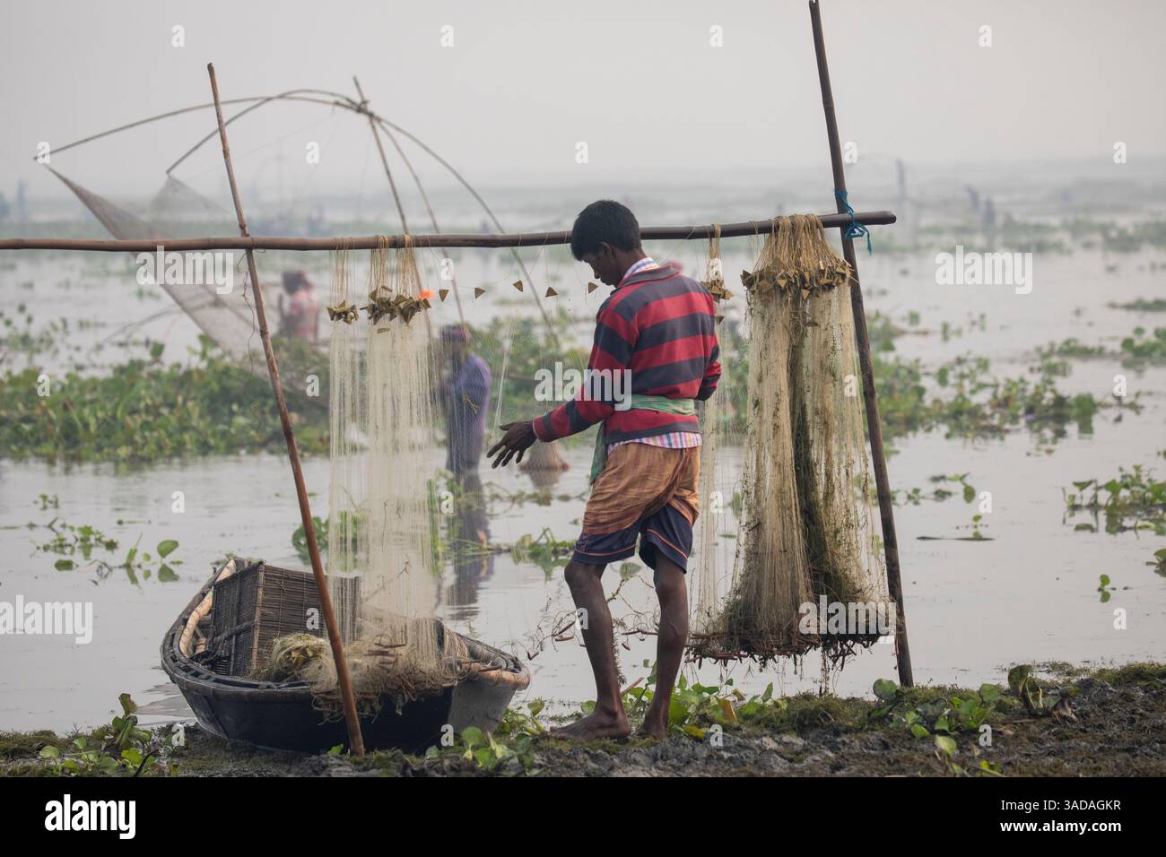 Fische, die sich in Stromnetzen verfangen haben, nachdem sie von Chalan Beel in Chatmohar, Pabna, Bangladesch gefangen wurden. Der Beel ist bekannt für seinen reichen Süßwasser-Biodiver Stockfoto