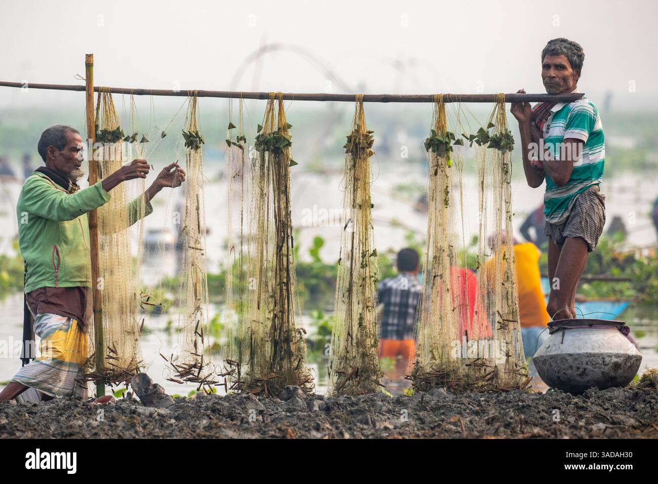 Fische, die sich in Stromnetzen verfangen haben, nachdem sie von Chalan Beel in Chatmohar, Pabna, Bangladesch gefangen wurden. Der Beel ist bekannt für seinen reichen Süßwasser-Biodiver Stockfoto