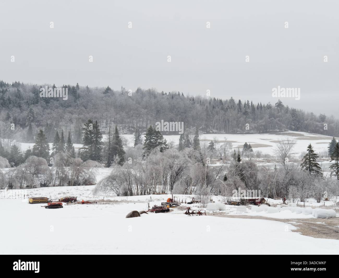 Eiskalter Regen auf der Farm, Quebec, Kanada Stockfoto
