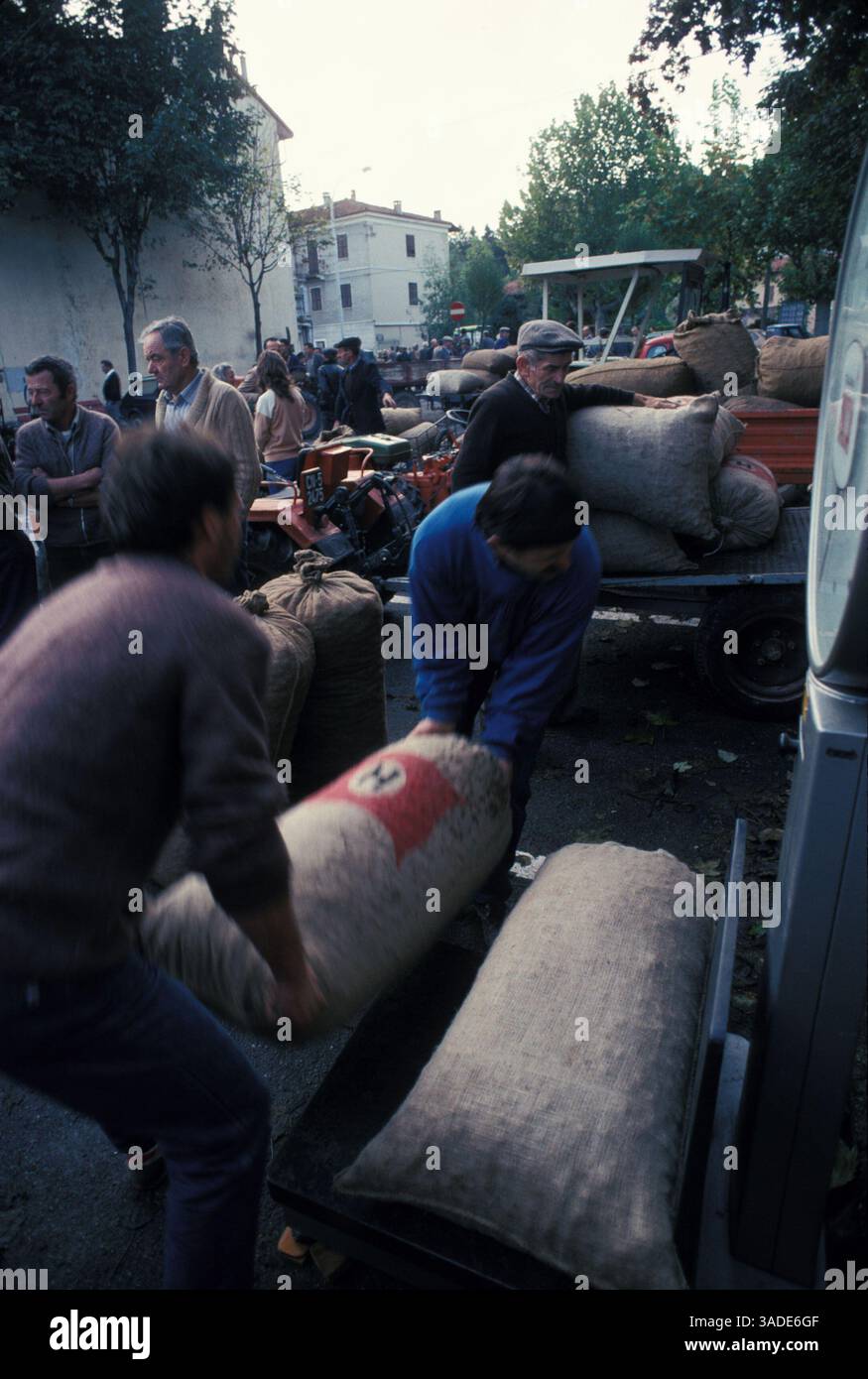 Juli 1988; Piemont, ITALIEN; Kastanienmarkt am Borgo San Dalmazzo (60 kg Beutel). (Bild: Gary Braasch/ZUMAPRESS.com) Stockfoto