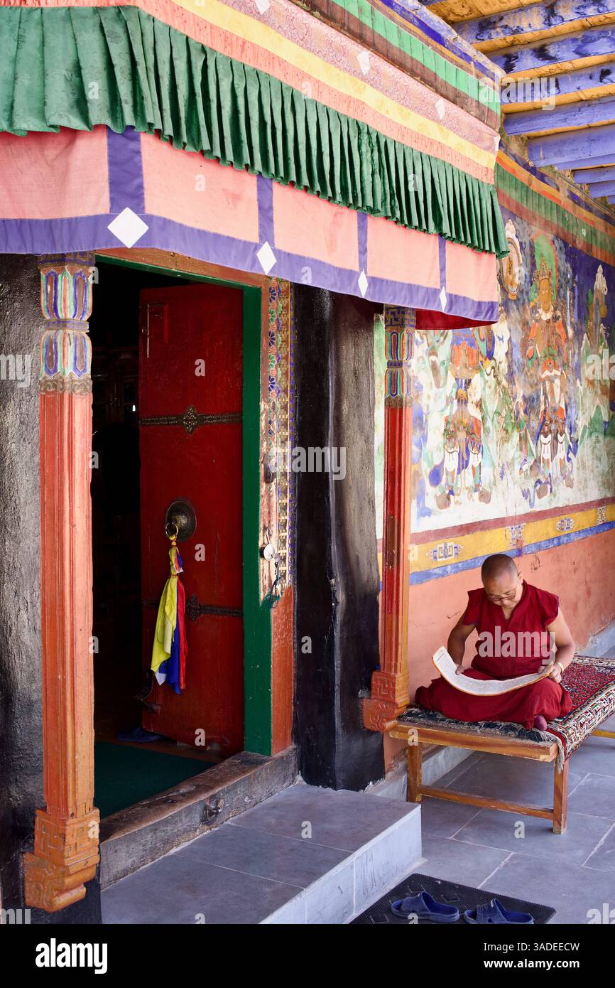 Buddhistischer Mönch liest Schriften vor einer Tempelhalle, die mit Wandmalereien im Likir Kloster in Ladakh, Indien geschmückt ist. Stockfoto