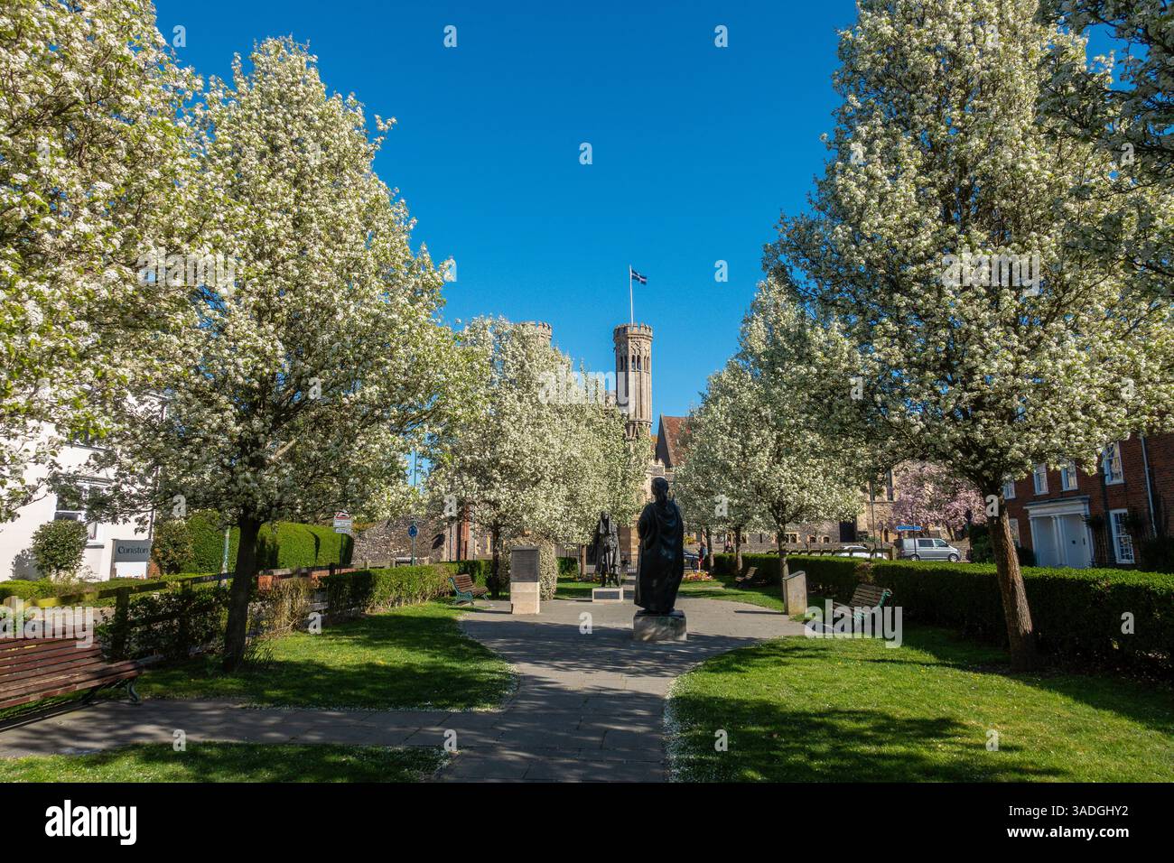Lady Woottons Green, Canterbury, Blossom, Time, Canterbury, Kent, England Stockfoto