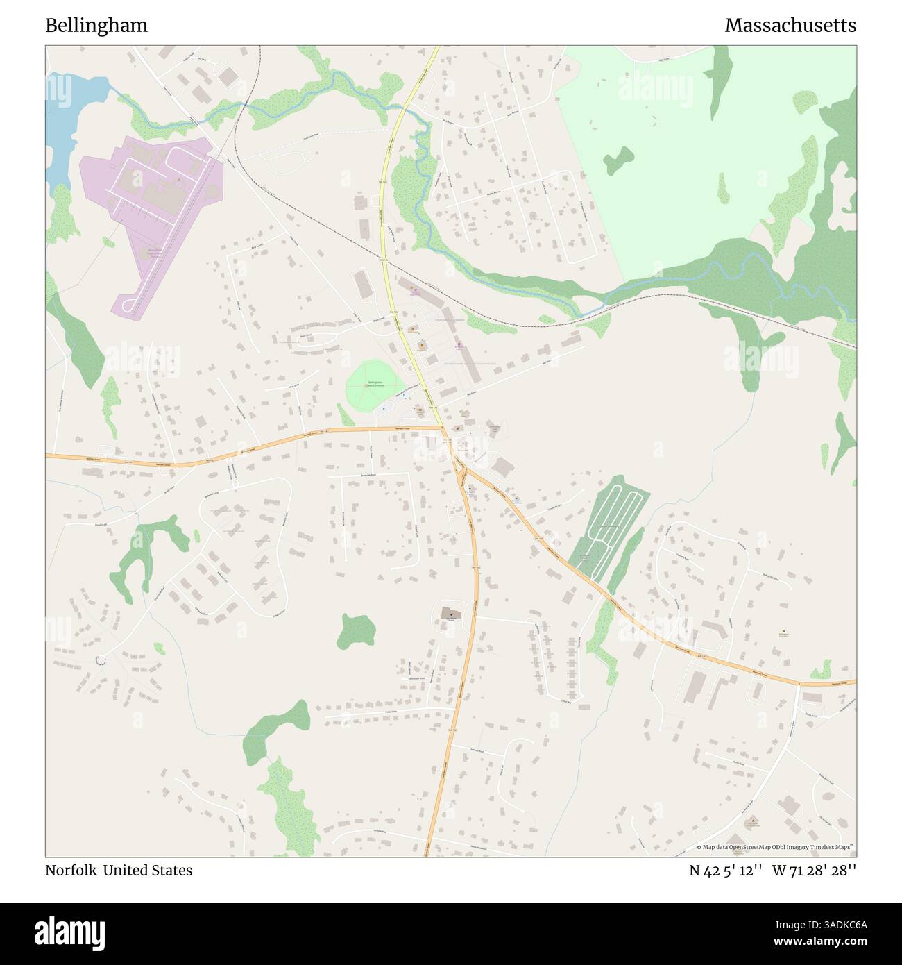 JOICEE Norfolk-Kiefernzweige - 16 Stück Künstliche Tannenzweige Für Weihnachtsdeko, 45,7 Cm