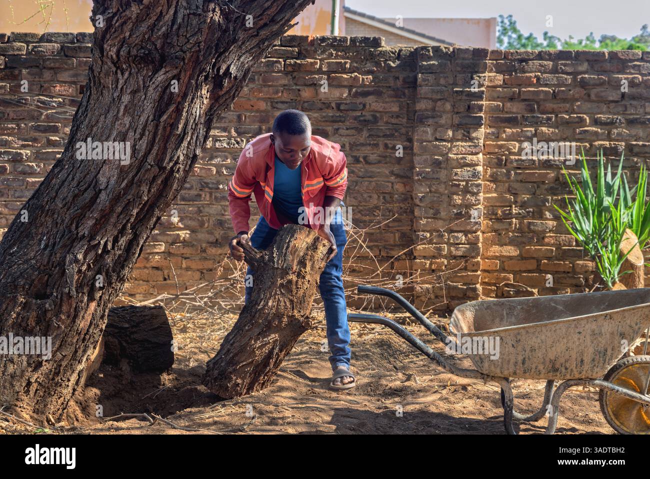 Mann, der Holz in einer Schubkarre beladen hat, afrikanischer Mann im Hof Stockfoto