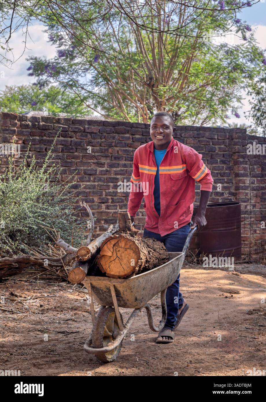 Ein Mann in Arbeitskleidung, der in einer Schubkarre Brennholz geschnitten hat, ein einzelner afrikanischer Mann im Hof Stockfoto