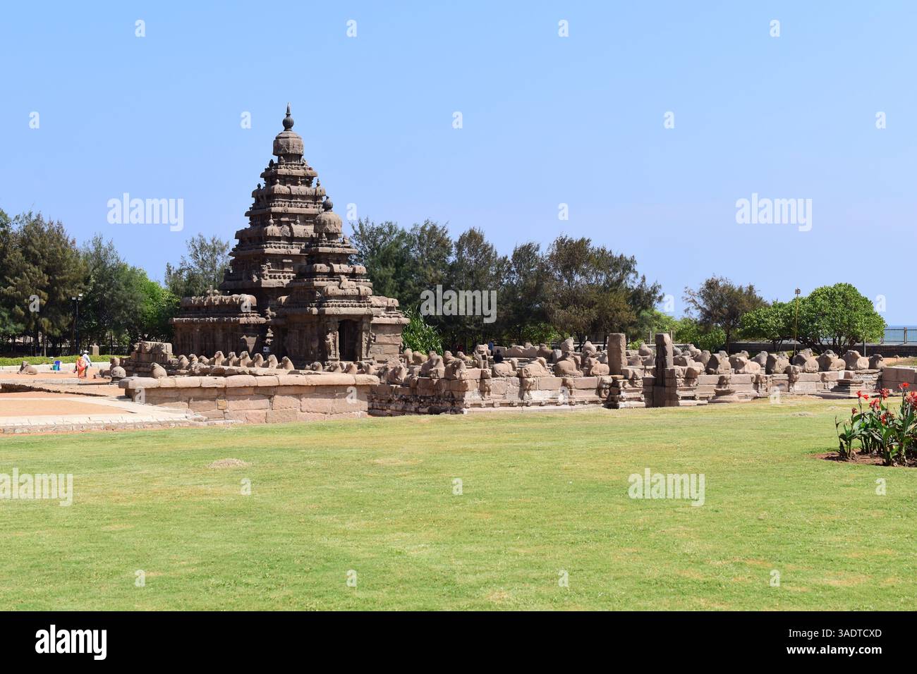Ufertempel in Mahabalipuram, Tamil Nadu, Indien. Stockfoto