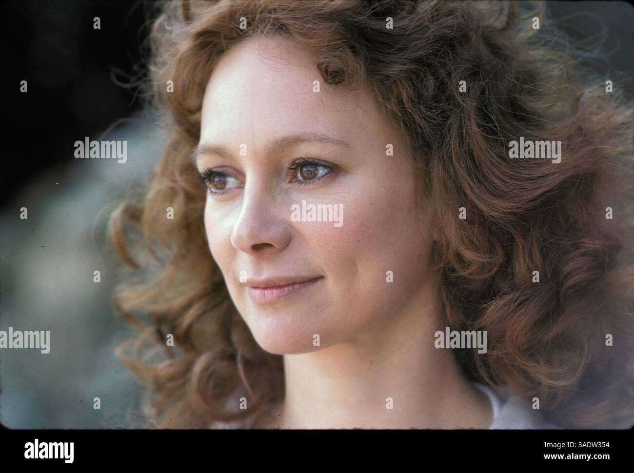 März 1978 – Los Angeles, Kalifornien, USA – britische Schauspielerin FRANCESCA ANNIS (Bild: Bernard Fallon/ZUMAPRESS.com) Stockfoto