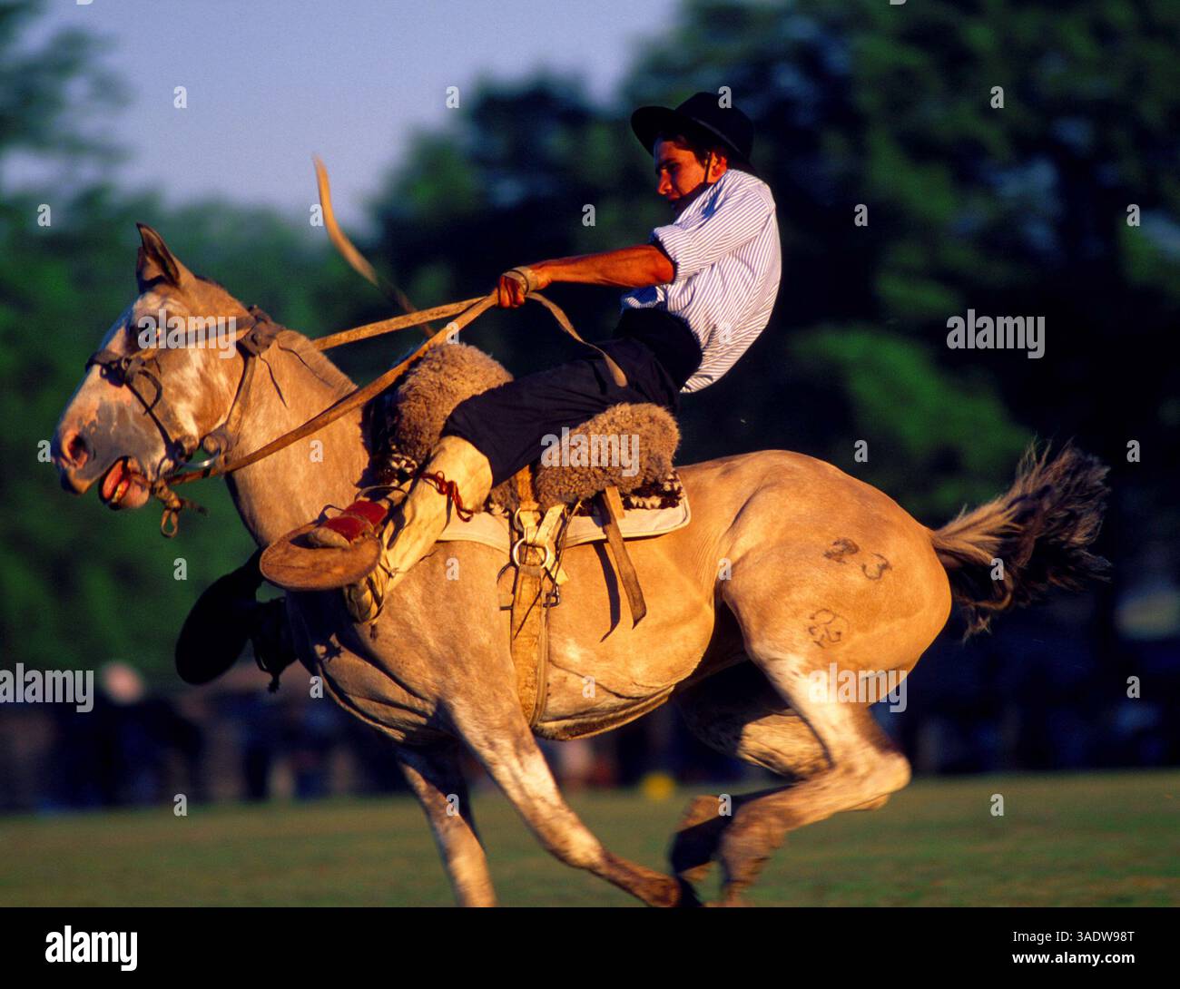 April 1999; San Antonio de Areco, Argentinien; Deutschland raus! Gaucho-Kultur ist eine der wenigen authentischen argentinischen Traditionen, deren Bräuche der Reitkunst, des ländlichen Lebens, der Küche und der Musik heute lebendig bleiben. (Bild: Russell Gordon/ZUMAPRESS.com) Stockfoto