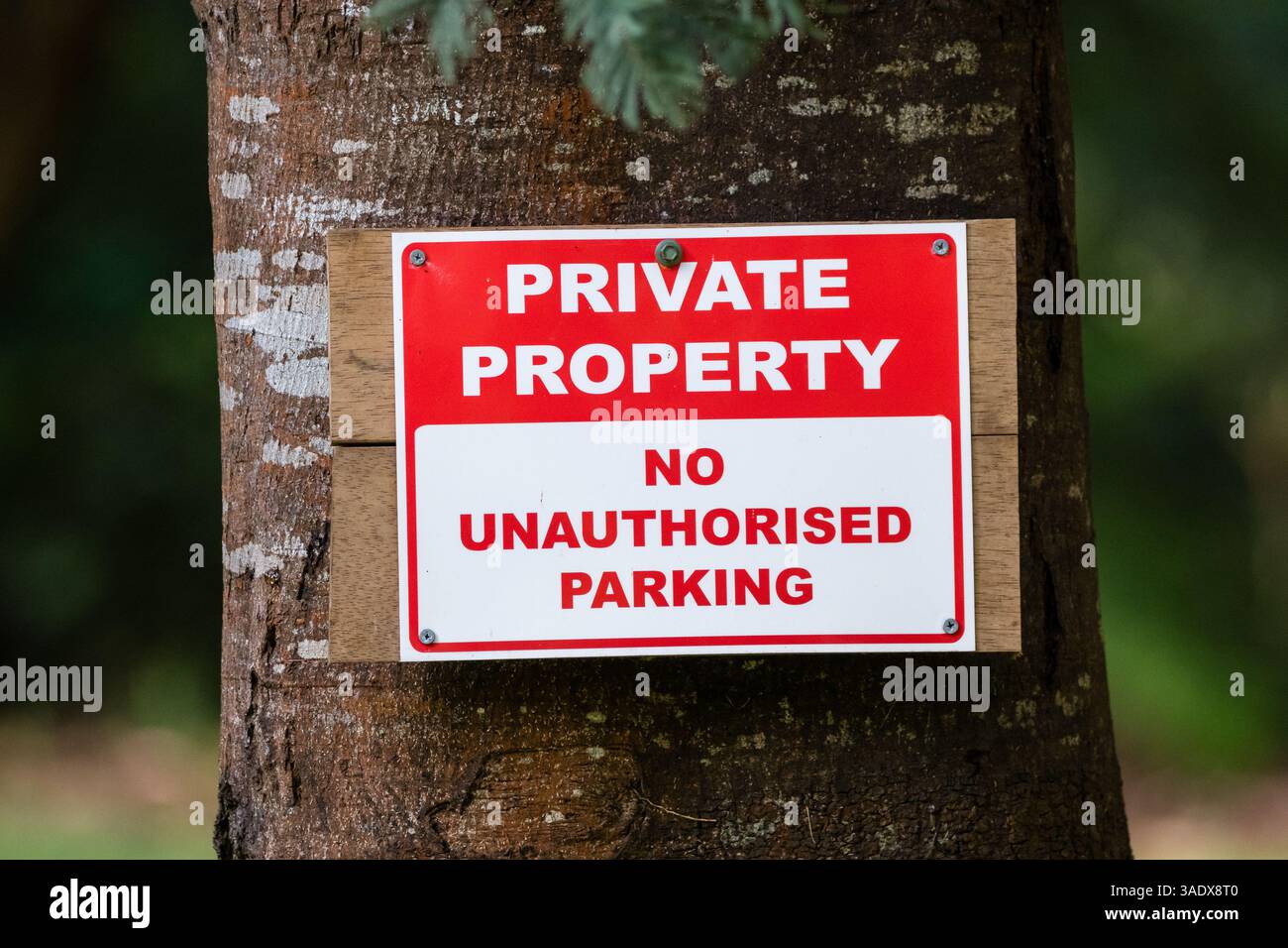 Nahaufnahme eines rot-weißen Schilds „Private Property No Unauthorized Parking“ auf einem Baum, Tarra Valley, Australien Stockfoto