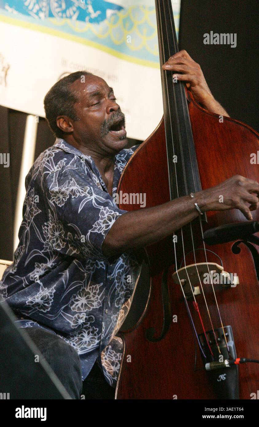 August 2008 – New York, NY, USA – Bassist ALEX BLAKE tritt 2008 beim Charlie Parker Jazz Festival im Tompkins Square Park auf (Bild: Nancy Kaszerman/ZUMAPRESS.com) Stockfoto