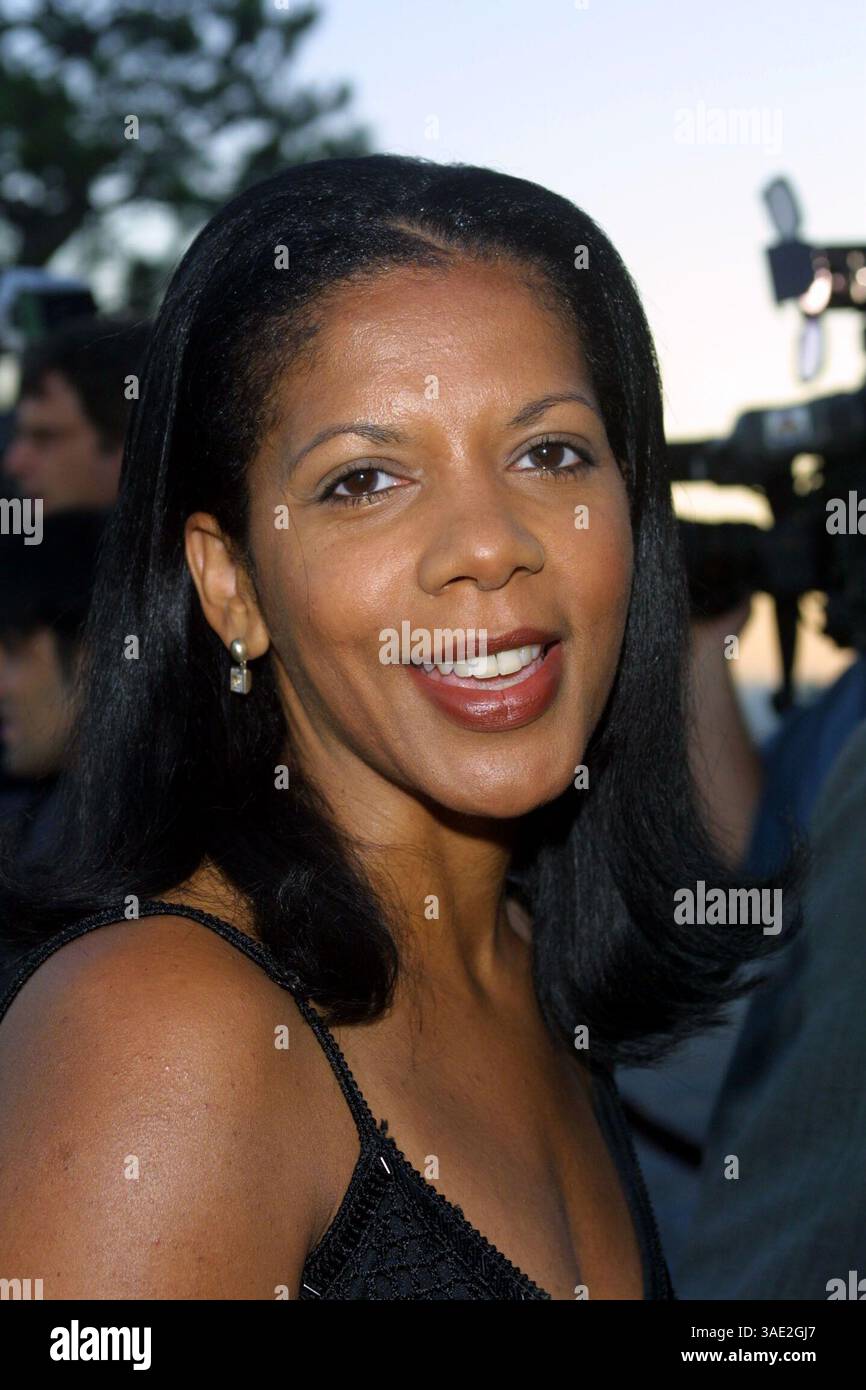 Juli 2001; Los Angeles, CA, USA; Schauspielerin PENNY JOHNSON GERALD bei der 'TCA Summer Press Tour' FOX Party. . (Bild: Lisa O'Connor/ZUMAPRESS.com) Stockfoto