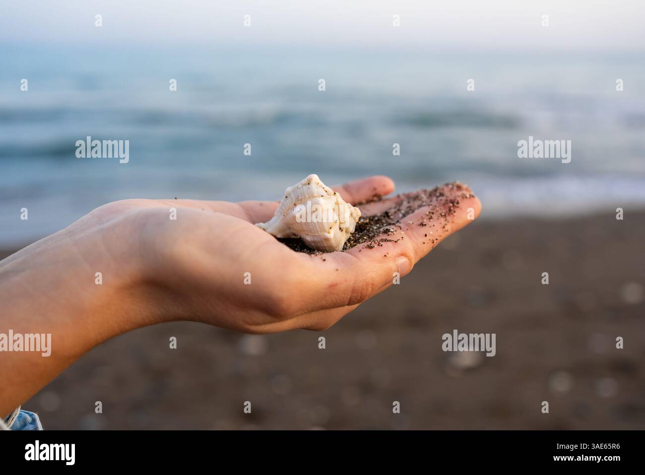 Eine junge Frau, die Muschel gegen das Meer hält. Hochwertige Fotos Stockfoto Eine junge Frau, die Muschel gegen das Meer hält. Hochwertige Fotos Stockfoto