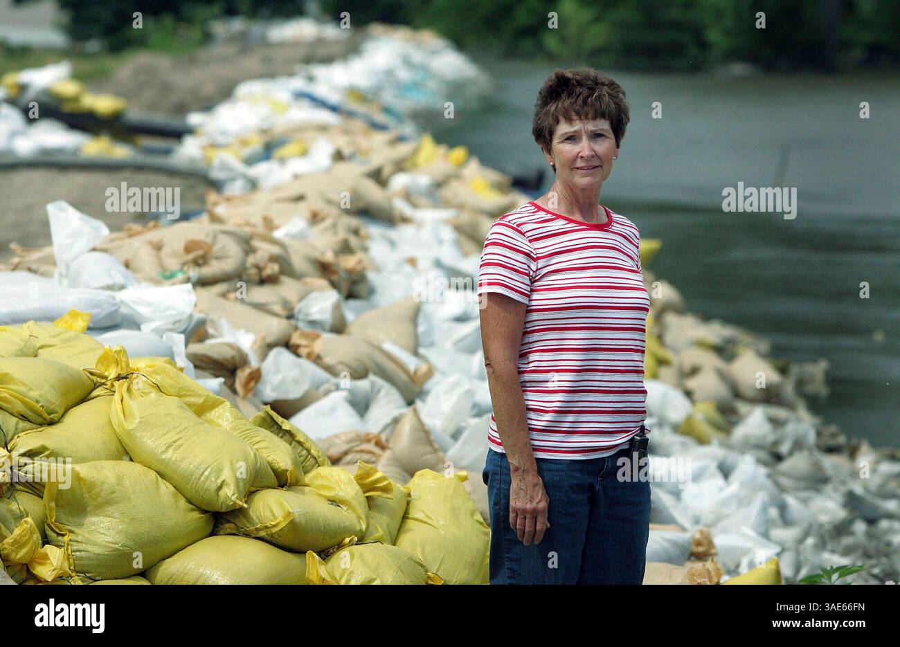 Juni 2008 – Iowa City, Iowa, USA – LIZ HAMMES, Miteigentümer des Thatcher Mobile Home Parks, steht in der Nähe des langen Sandsackdeichs in Iowa City, der Mitarbeiter und Freiwillige parkt, die gebaut wurden, um die Häuser in der Gegend vor Überschwemmungen zu schützen. Hammes versucht, sich durch die Regierungsbürokratie zu entscheiden, um Hilfe zu erhalten, um die Hunderttausenden von Dollar zurückzubekommen, die sie für den Schutz der Gegend ausgegeben hat (Credit Image: Cedar Rapids Gazette/ZUMAPRESS.com) Stockfoto