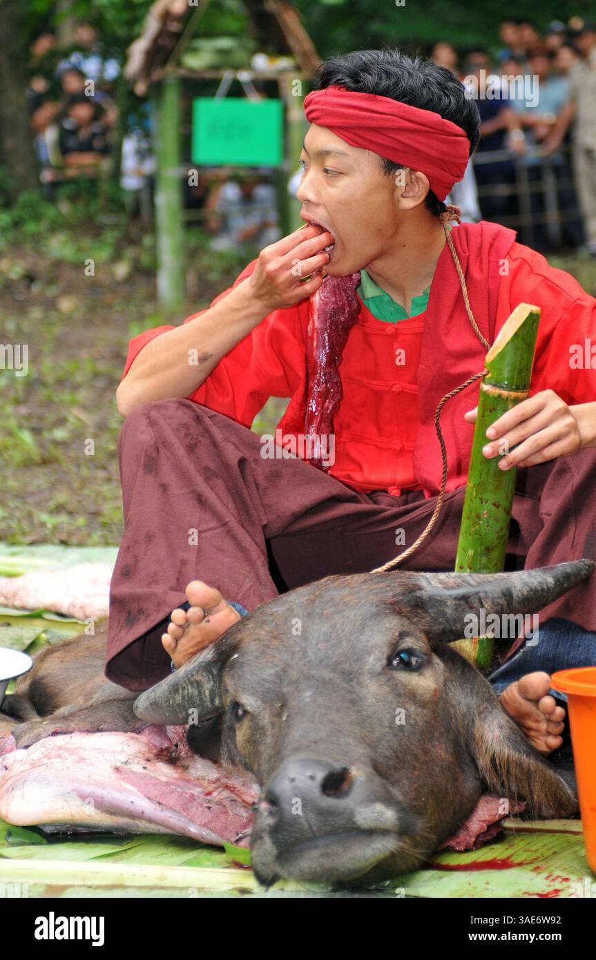 18. Juni 2008 - Chiang Mai, Thailand - Chiang Mai, Thailands zweitgrößte Stadt und ein wichtiger Tourismuszentrum, birgt ein dunkles Geheimnis, das eine Szene aus einem Horrorfilm sein könnte. Tief im Dschungelwald im Schatten des Doi Kham Tempels findet eine rituelle Zeremonie statt, inmitten von rasenden, staunenden und einigen schockierten Einheimischen und einer Handvoll Touristen, in einem Dunst von Insekten und Delirium. Ein Schuljunge verschlingt einen frisch geschlachteten Büffel, der unter ihm liegt wie ein blutiger Teppich. Scheiben von sehnlichem Fleisch, hängende Eingeweide und ein Eimer voller Blut sind die Spezialitäten des Tages. Der Wald stinkt nach verfallendem Fleisch und Stockfoto