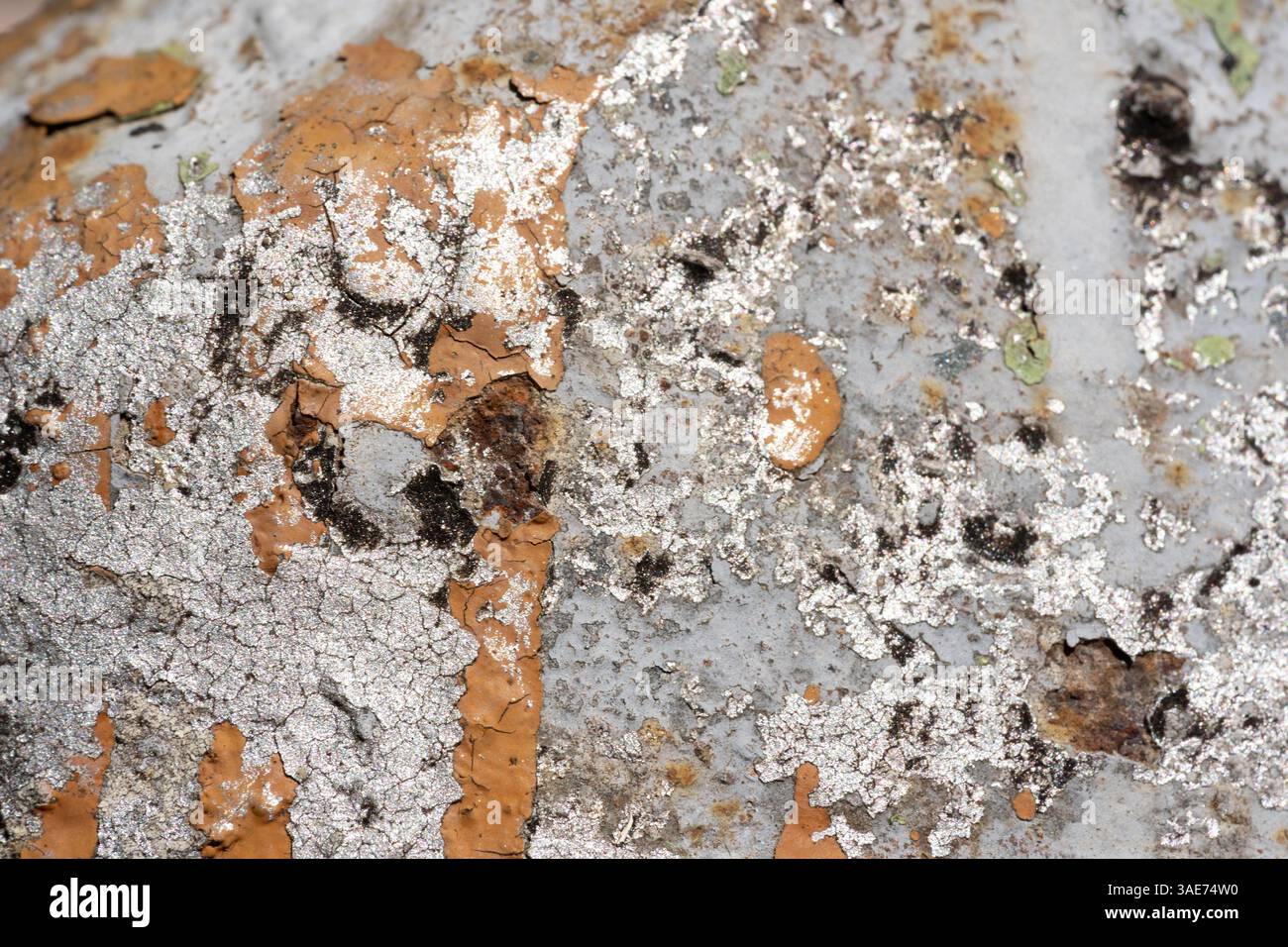 Farbige Betonoberflächentextur mit Rissen und Frid-Muster – hochauflösender Hintergrund für Retuschierung. Pefect zur Verwendung als Hintergrund, Überlagerung Stockfoto