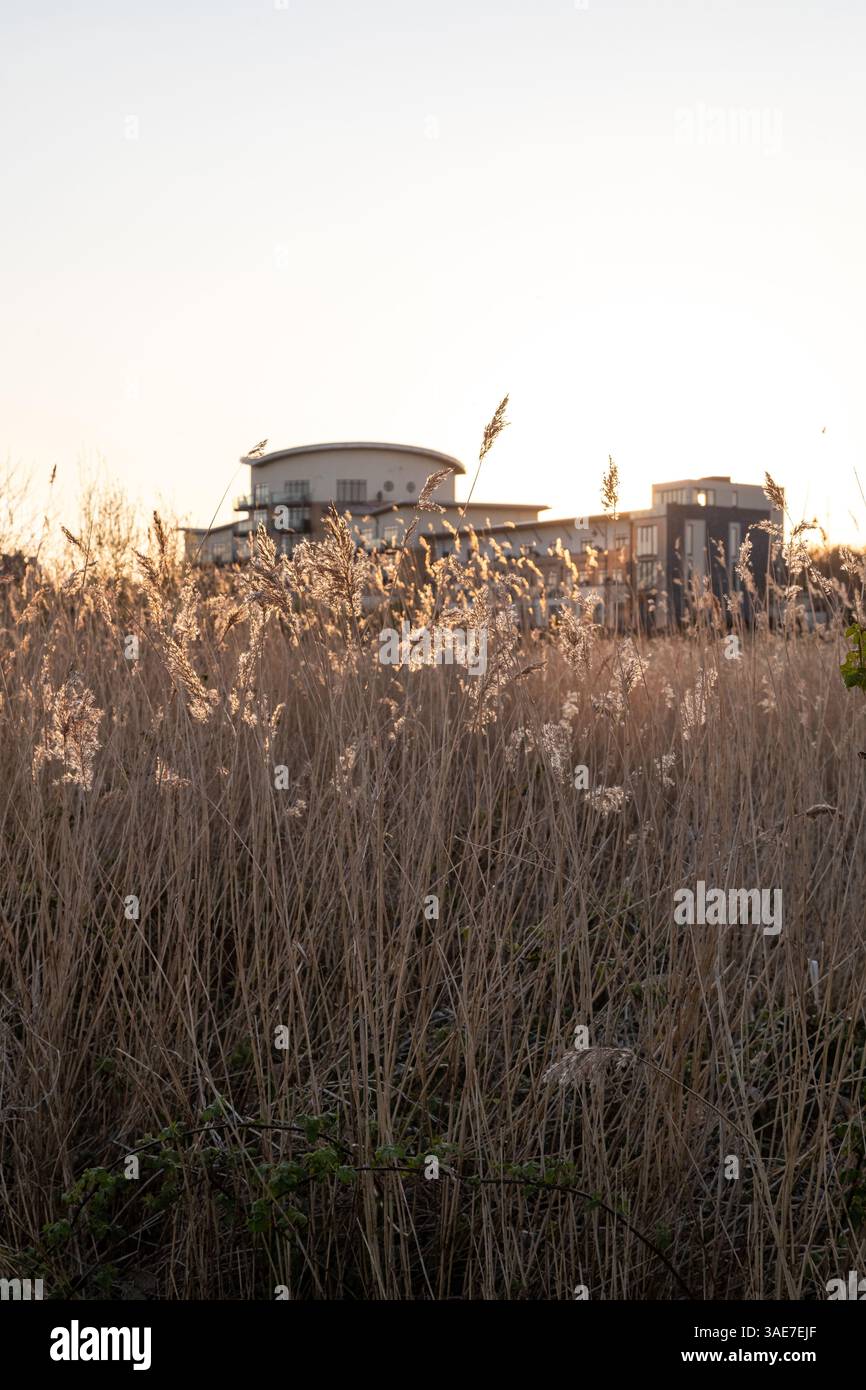 Windsor Espanade, Cardiff Bay Wetlands, Cardiff Bay, Wales Stockfoto
