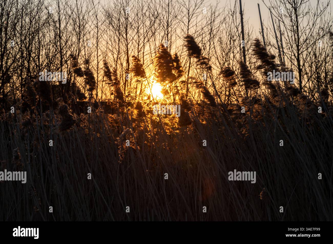 Cardiff Bay Wetlands und A4232 Road, Cardiff Bay, Wales Stockfoto