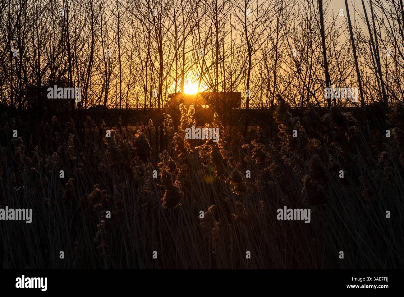 Cardiff Bay Wetlands und A4232 Road, Cardiff Bay, Wales Stockfoto