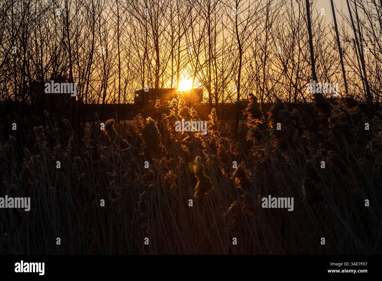 Cardiff Bay Wetlands und A4232 Road, Cardiff Bay, Wales Stockfoto