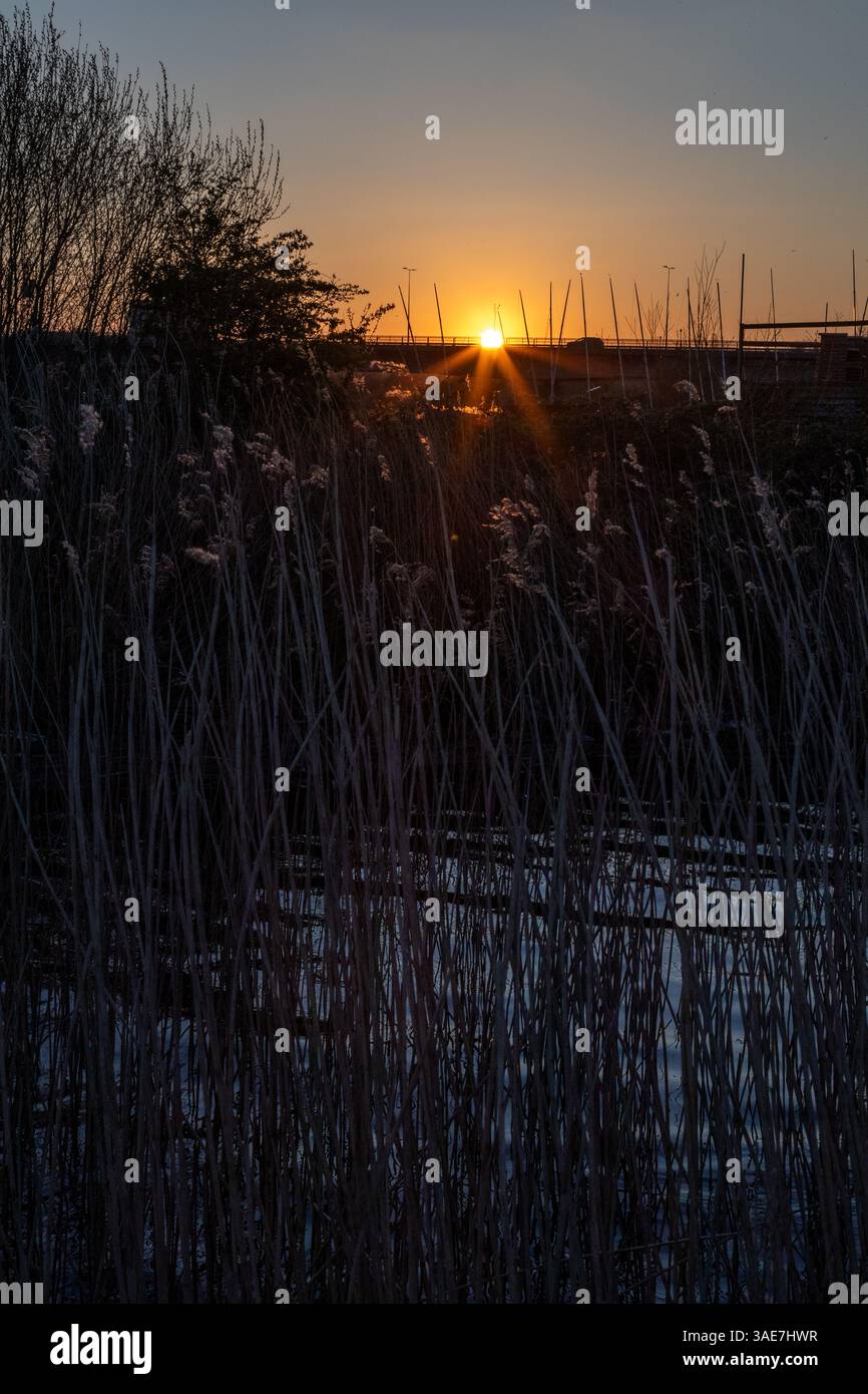 Cardiff Bay Wetlands, Cardiff Bay, Wales Stockfoto