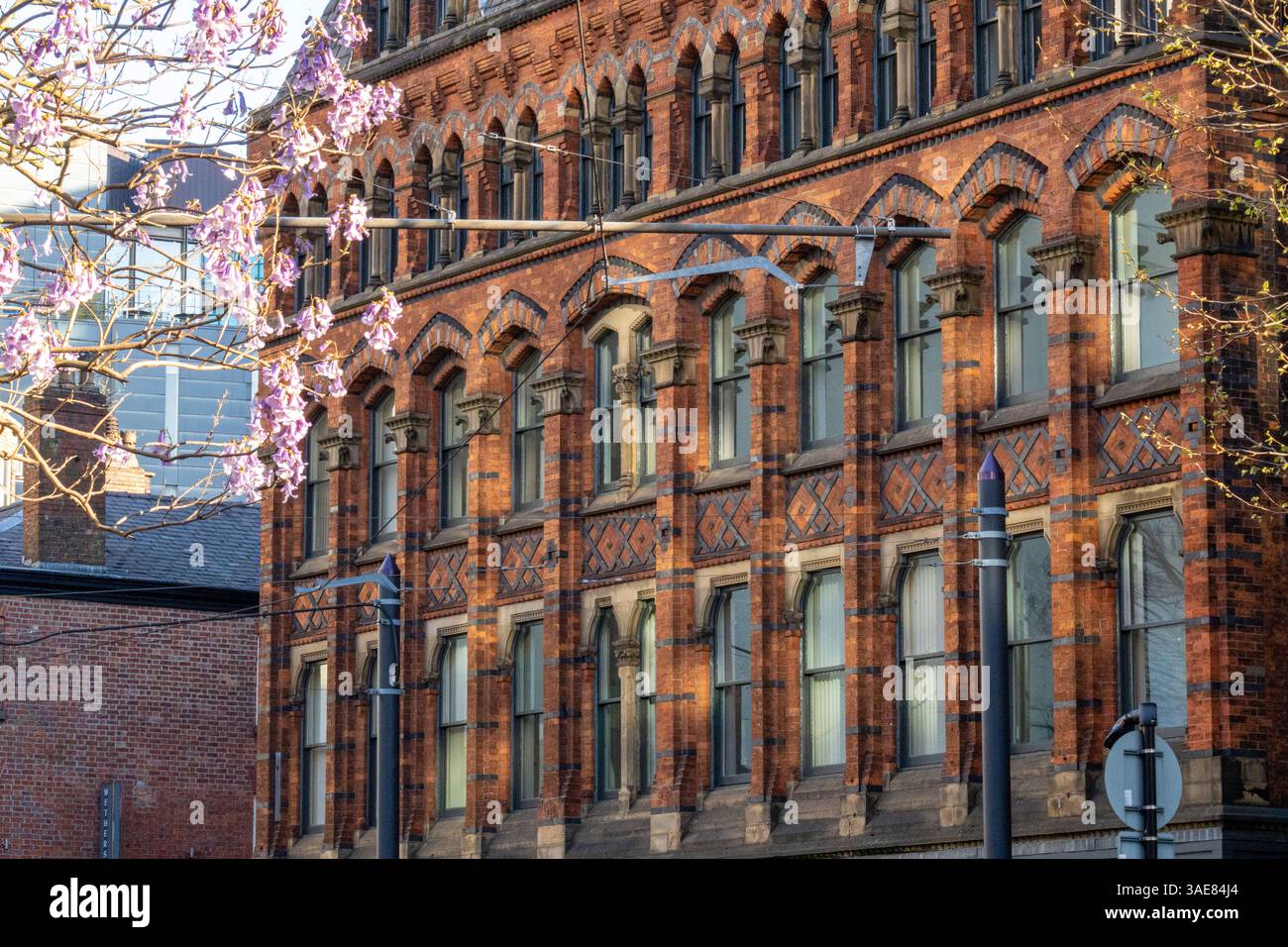 Bild einer Gebäudefassade am St. Peter's Square Manchester mit einer wunderschönen britischen Architektur. Stockfoto