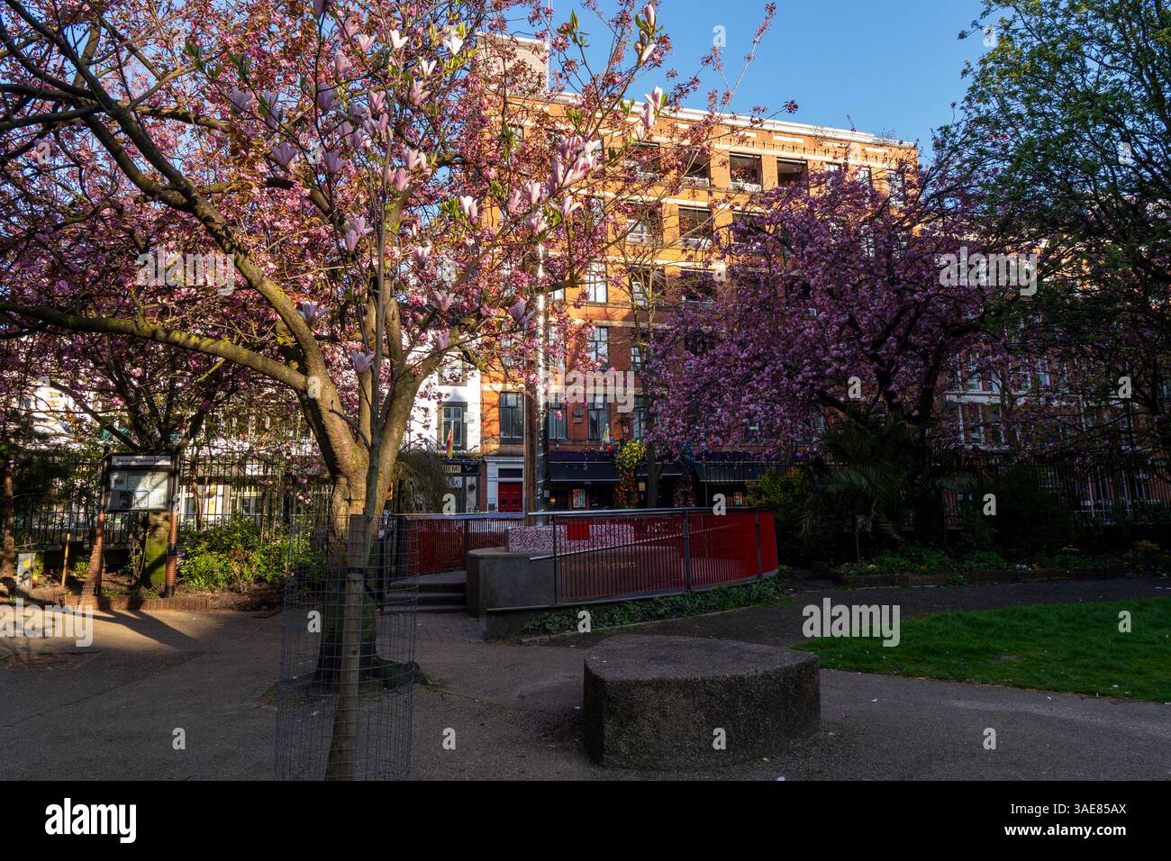 Bild eines Sonnenaufgangs in den Sackville Gardens in Manchester - neben dem Gay Village. Stockfoto