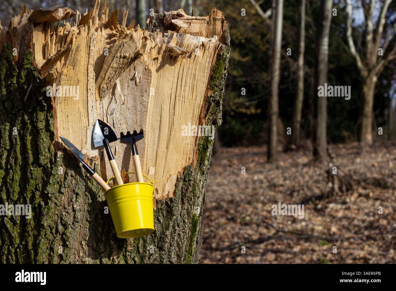Gartenwerkzeuge in einem gelben Eimer, der an einem Baum hängt. Kopierbereich. Stockfoto