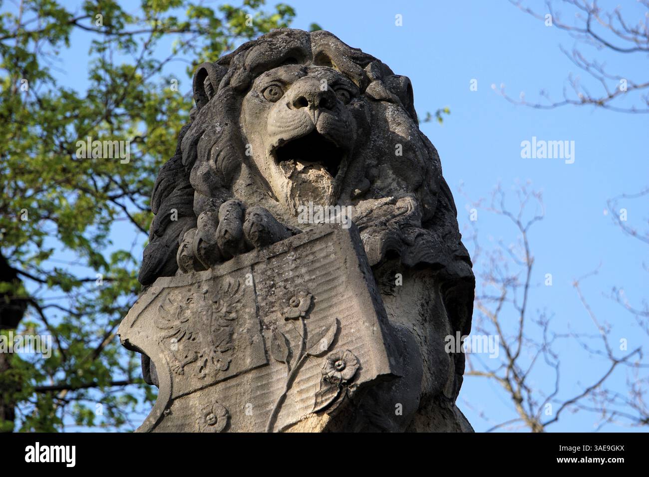 Detaillierte Nahaufnahme einer herrlichen Löwenstatue mit einem Blazonschild vor der verlassenen historischen polnischen Burg Boberstein in Oberschlesien, Polen Stockfoto