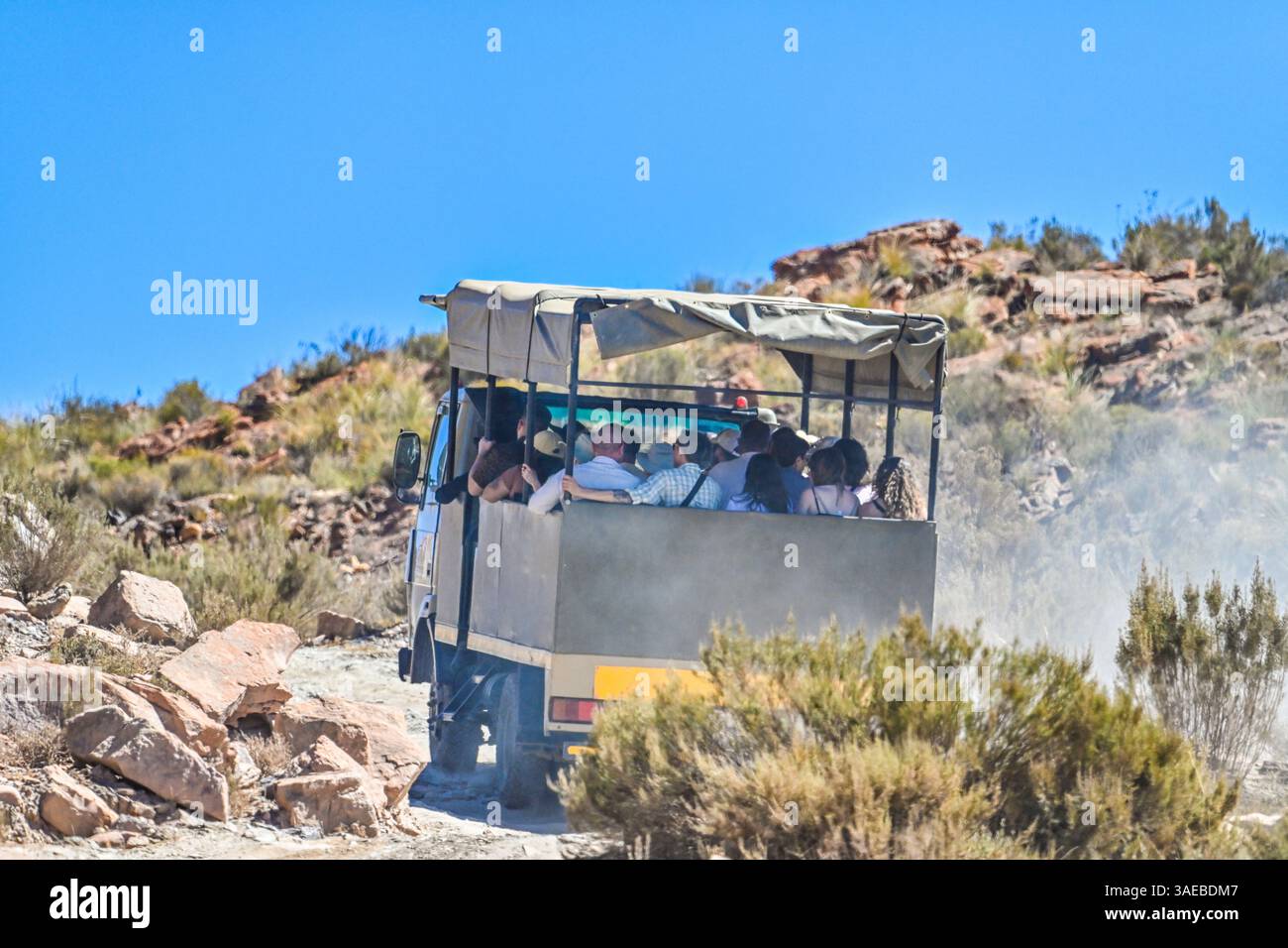 Ein Tourist auf einem Safari-Truck, der die offenen Landschaften des Aquila Private Game Reserve, Südafrika, erkundet. Bei einer Pirschfahrt haben Besucher die Möglichkeit, Einen Zu sehen Stockfoto