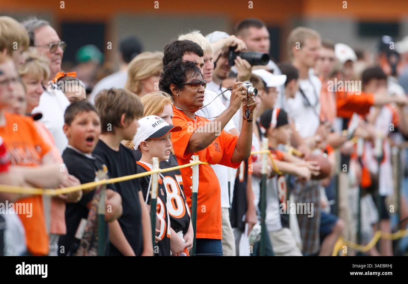 Juli 2008 - Georgetown, Kentucky, USA - Bengals-Fans genießen den Eröffnungstag des Trainings für das Cincinnati Bengals Trainingscamp im Georgetown College Athletic Complex (Bild: Lexington Herald-Leader/ZUMAPRESS.com) Stockfoto