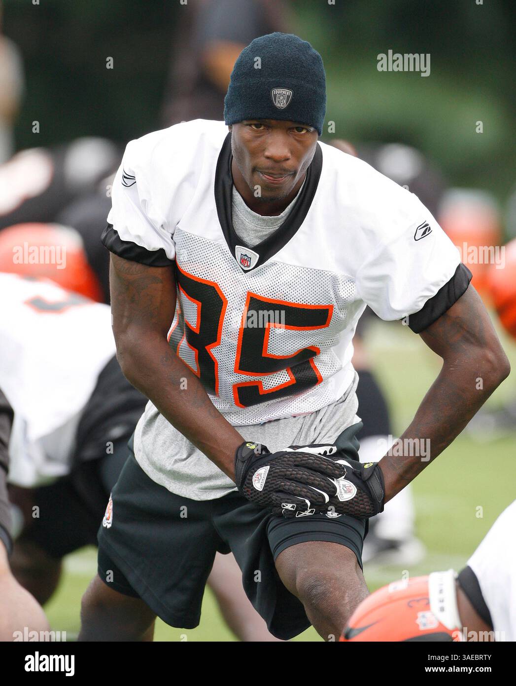 Juli 2008 - Georgetown, Kentucky, USA - CHAD JOHNSON dehnt sich während des Eröffnungstages des Trainings für das Cincinnati Bengals Trainingslager im Georgetown College Athletic Complex aus (Bild: Lexington Herald-Leader/ZUMAPRESS.com) Stockfoto