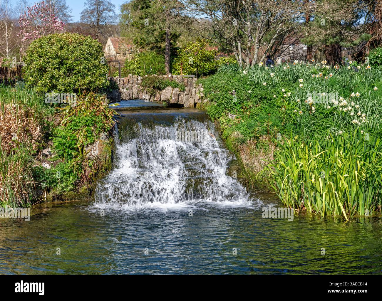 Süßwasserquelle sprudelt aus unterirdischen Aquafern in den Gärten des Bishop's Palace auf dem Gelände der Wells Cathedral in Somerset UK Stockfoto