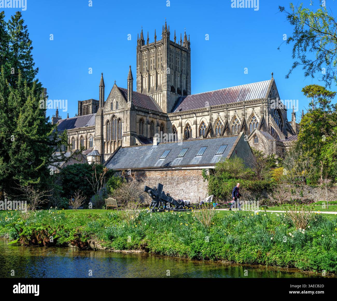Wells Cathedral aus den Gärten des Bischofspalastes in Wells Somerset, Großbritannien Stockfoto