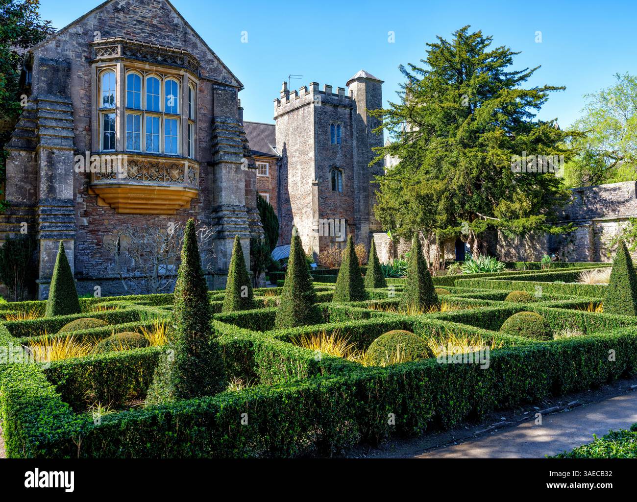 Gärten des Bischofspalastes auf dem Gelände der Wells Cathedral in Somerset Großbritannien Stockfoto
