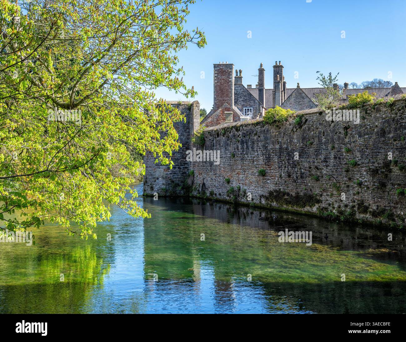 Burggraben und Verteidigungsmauern rund um den Bishop's Palace auf dem Gelände der Wells Cathedral in Somerset UK Stockfoto